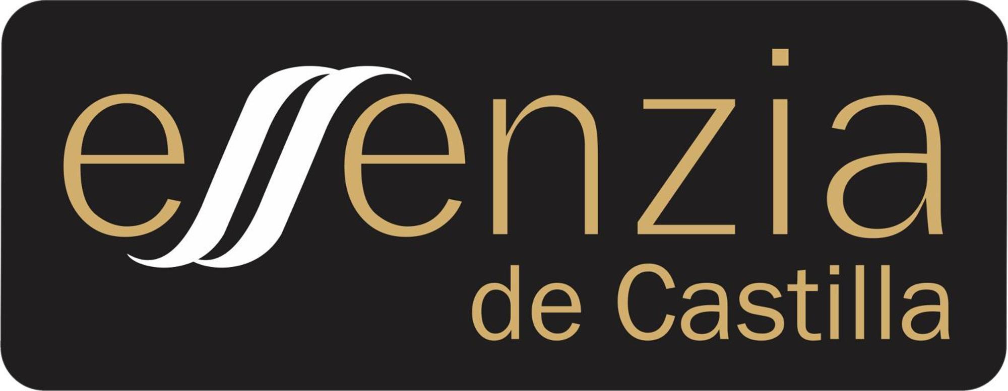 Aparthotel Essenzia De Castilla Aranda de Duero Ngoại thất bức ảnh